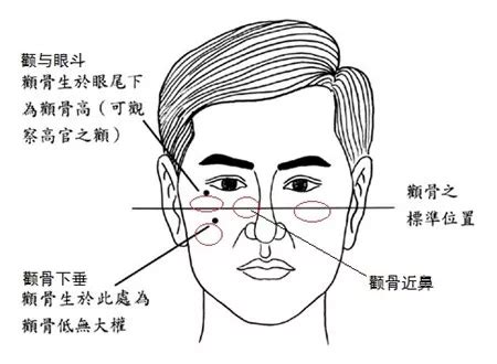 顴骨斑面相|面相 (顴骨)